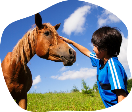 引退馬と触れ合う少年