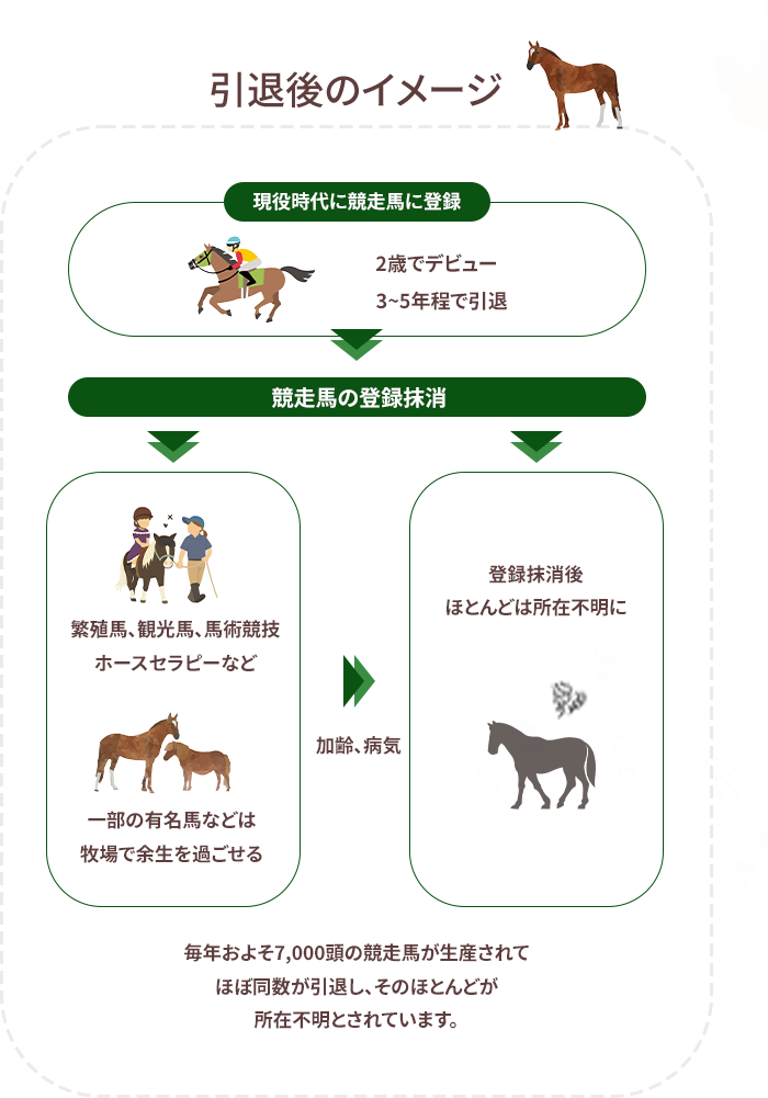 競走馬の引退後